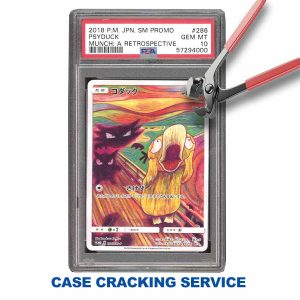 Case cracking service lamacards